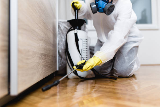 Best Flea Control Services  in Cross Plains, TX