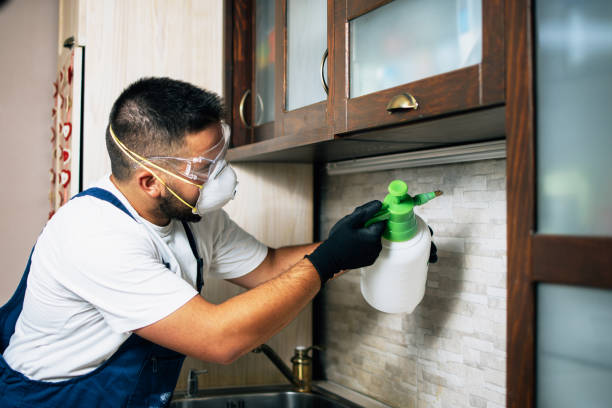 Best Exterminator Services  in Cross Plains, TX