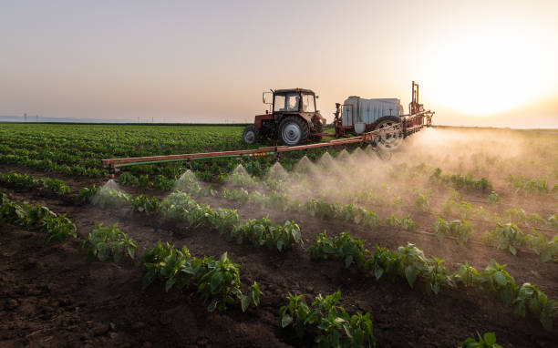 Best Pest Control Near Me in Cross Plains, TX