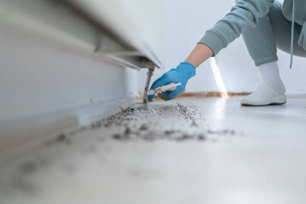 Cross Plains, TX Pest Control Company